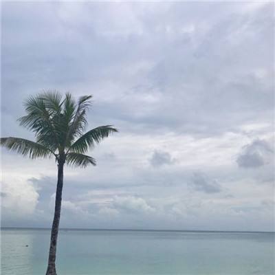 招摇如歌内购破解版下载